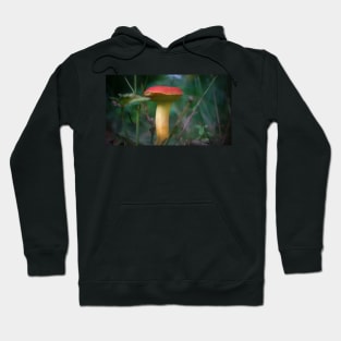 Red Capped Mushroom Hoodie